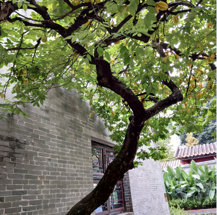 1571217705456360.png 71.png