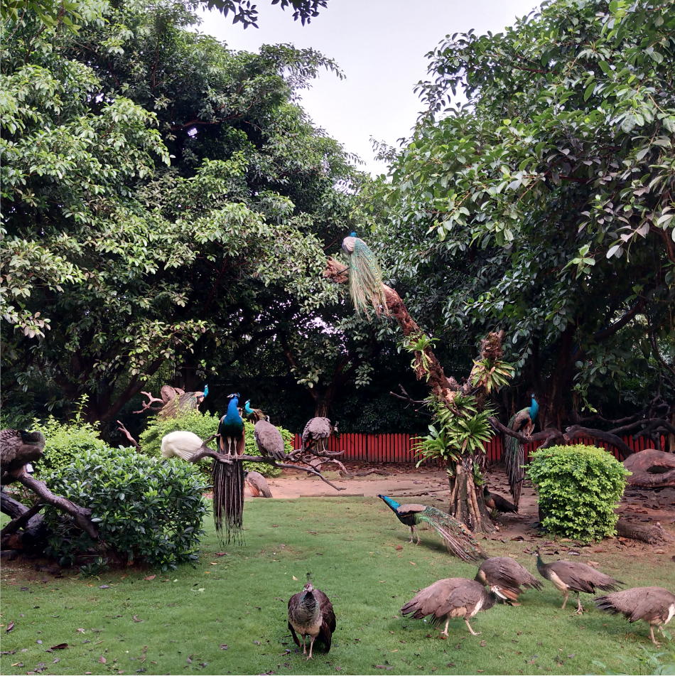 1629359444858947.png 1629359444858947.png